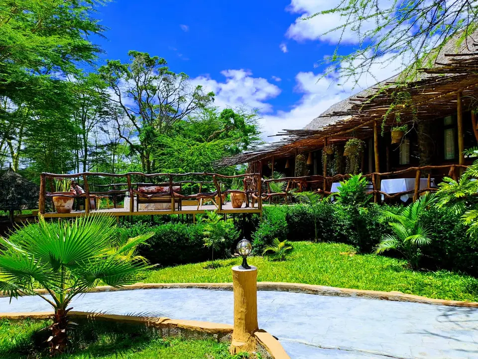 Quiet terrace overlooking gardens and acacia trees