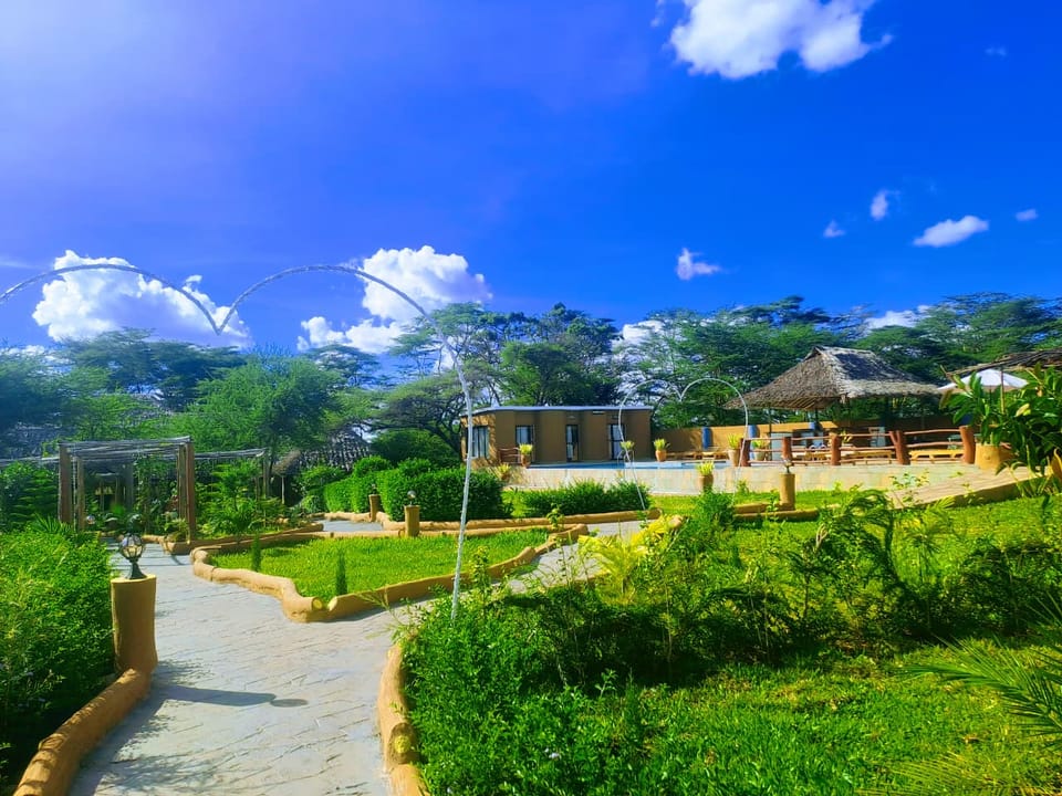 The swimming pool, thatched pool bar and gardens