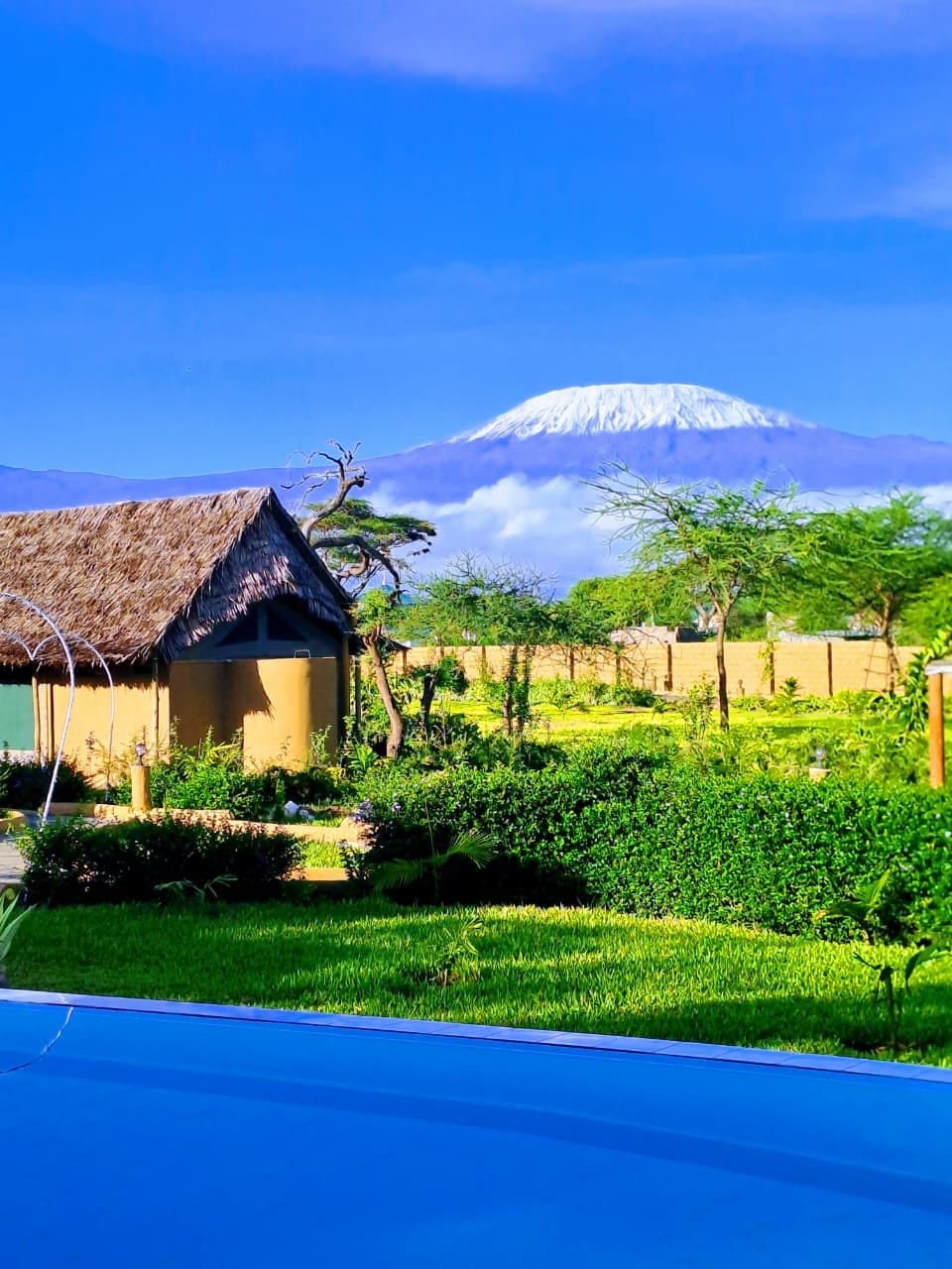 Snow-capped Mt. Kilimanjaro rising above the savanna behind Hunter's Luxury Manor and its swimming pool